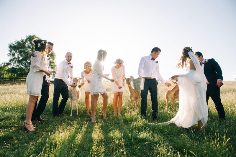 Bridal party at Gum Gully farm by Melbourne wedding photographer Michelle Pragt